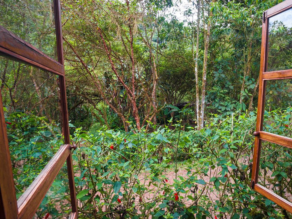El Septimo Paraiso Mindo Exteriör bild